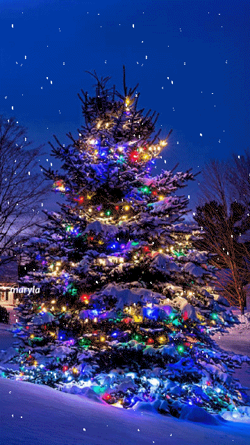 xmas