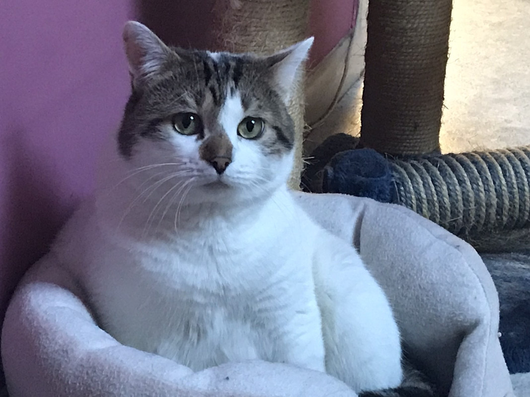 2E9CB56C-BB81-4D60-875E-274D69E772AA