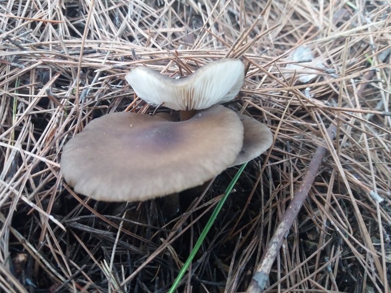 33005093-6BE1-45CA-AD43-CFBB3878FC28