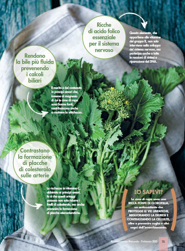 Alim Nat Feb 2023 (8)