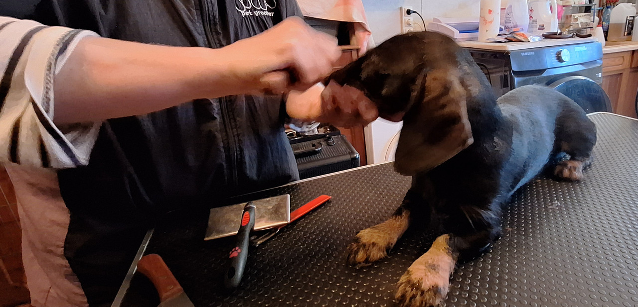 [Image: 20251217-154227.jpg]