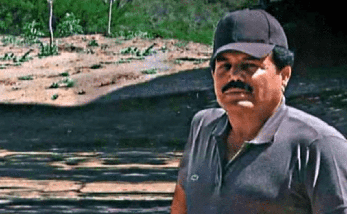 La maldición del Cártel de Sinaloa: accidentes persiguen a El Mayo y a El Chapo