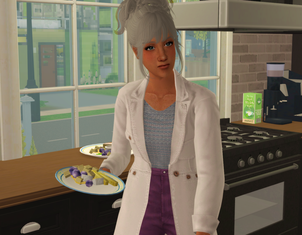 Sims2-EP9-RPC-2022-05-18-17-23-29-82