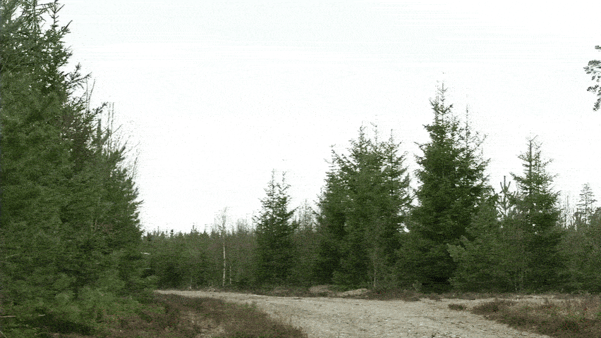 https://i.postimg.cc/NMVyx2qC/ezgif-4edc5f43493aa383.gif