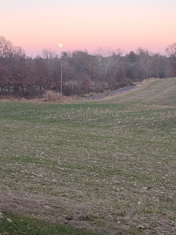 IMG_20241115_164300609