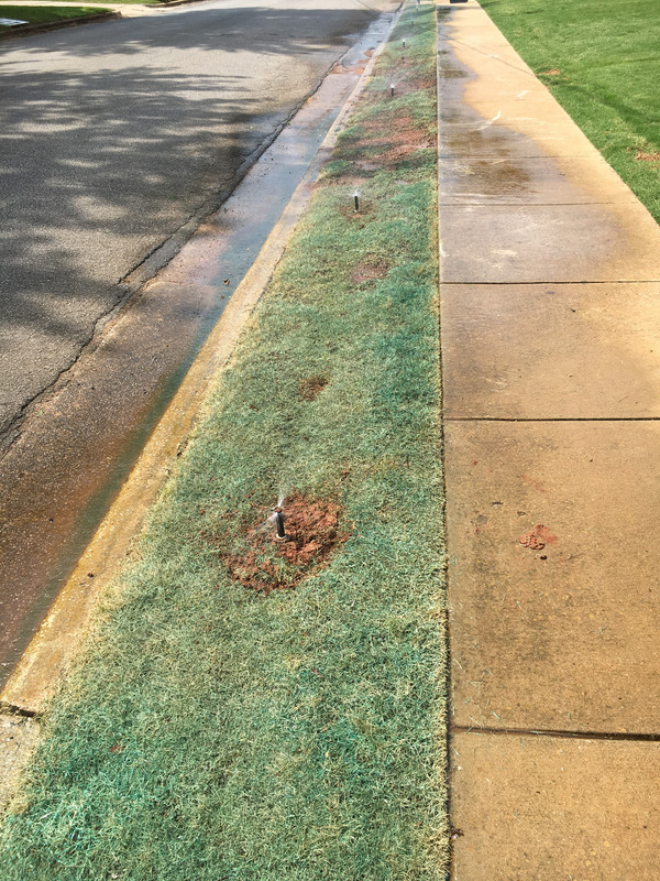 5AB8C91A-A03F-48B1-8CA4-65C397A23AA4