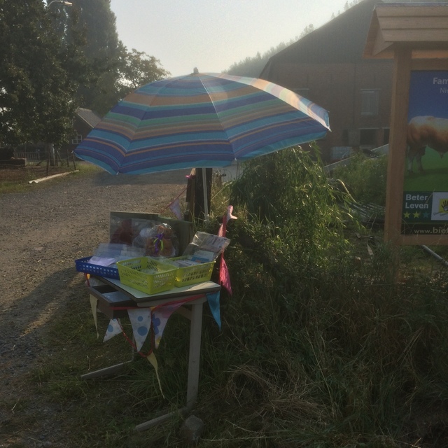 2016-08-26 09.33.25 HDR