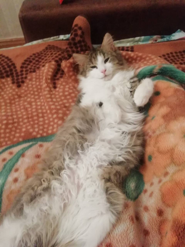 1BFD64FB-5558-49FC-8183-7BB7724EBF38