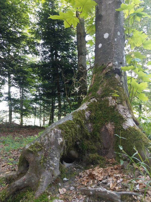 9DE00110-ABE5-407F-95C6-FA8C5155452A