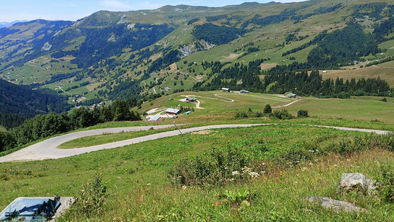 IMG20250718130539 (Large)