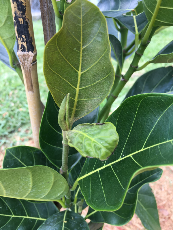 2400B439-26F7-4FEE-91E0-CFD5E039912E