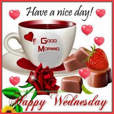 WEDNESDAY-mercredi-13