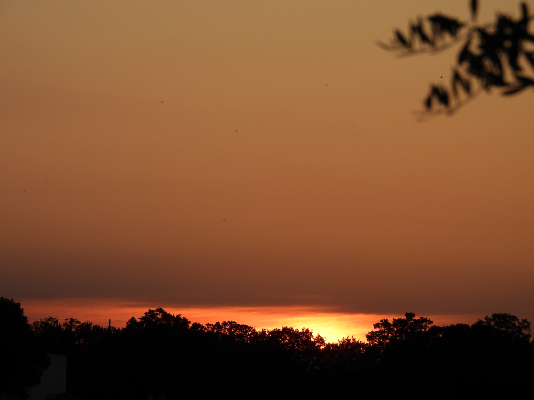DSCN3969.jpg