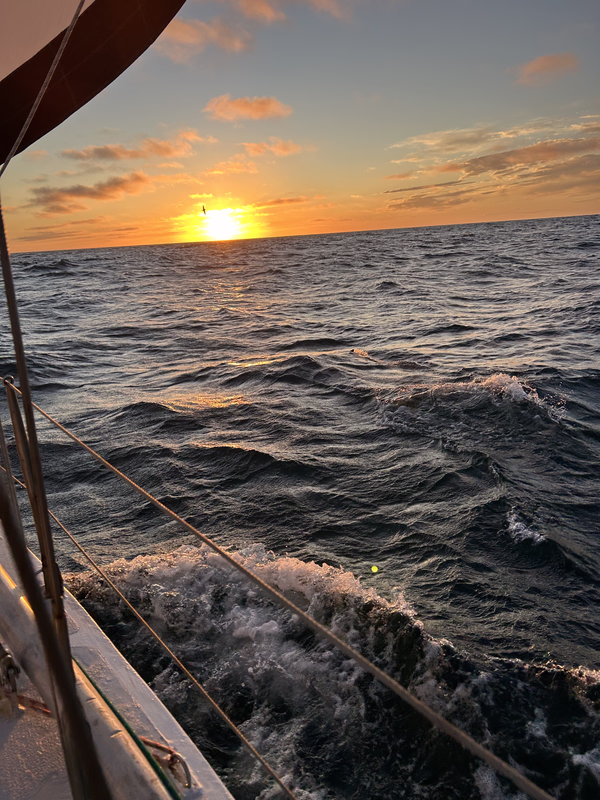 [Imagen: IMG_3558_HEIC.avif]