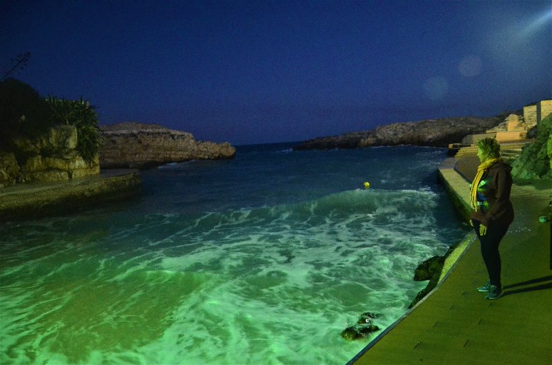 POLINAGNO A MARE-27-9-2018 - Italia y sus pueblos-2018/2019/2023 (112)