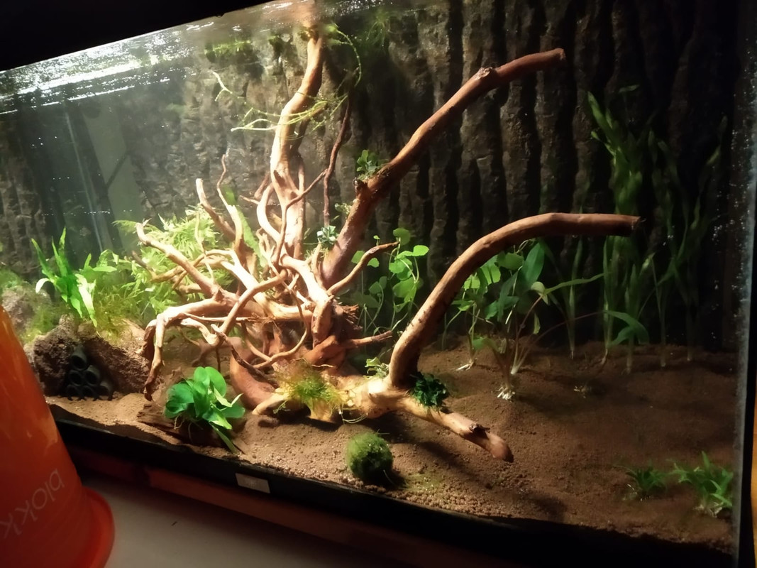 WhatsApp Image 2023-02-16 at 23.56.51