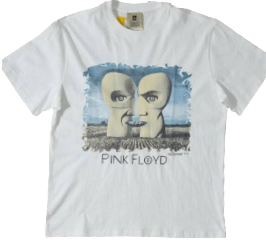Pink Floyd Camiseta