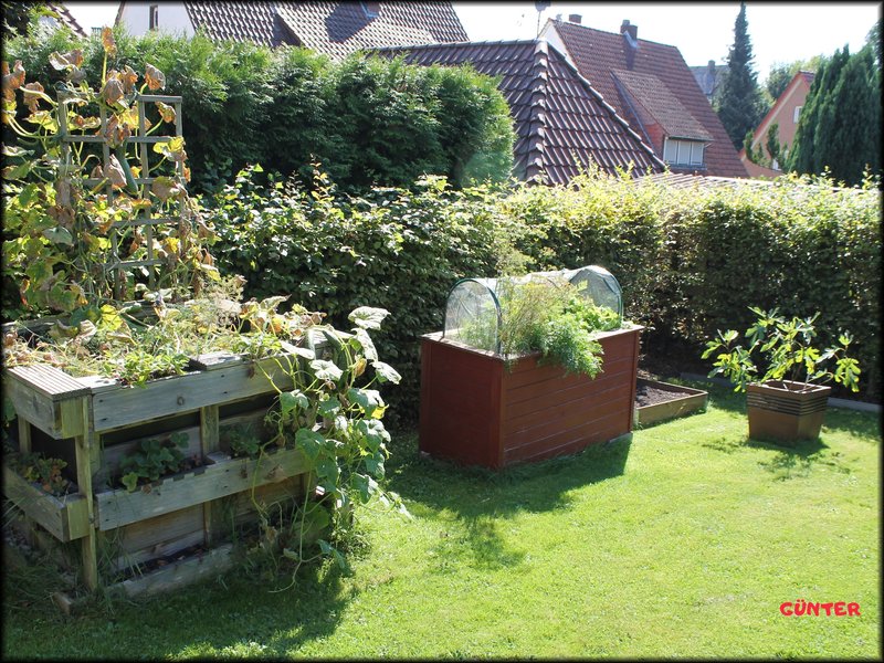 [Bild: Garten-09.jpg]