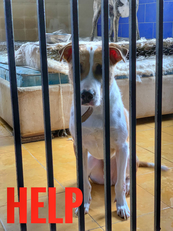 6C0EF4EA-95F9-4BA0-B10C-720A480595A1