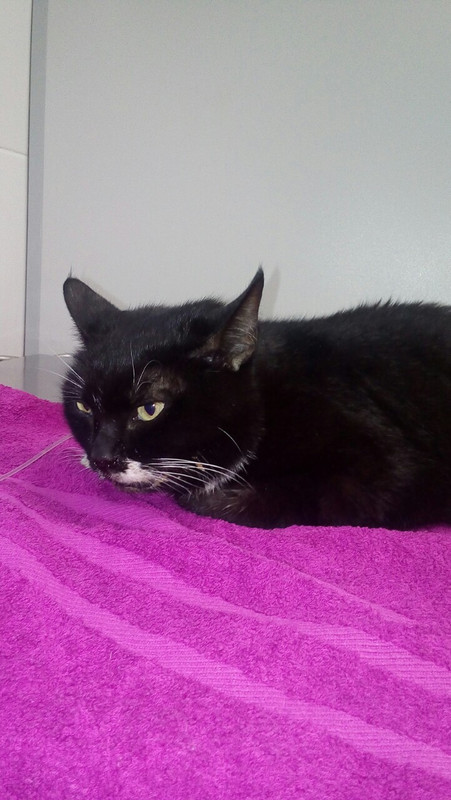 буся ранаты1