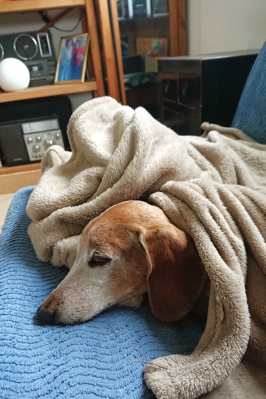 [Image: DSC-4192.jpg]