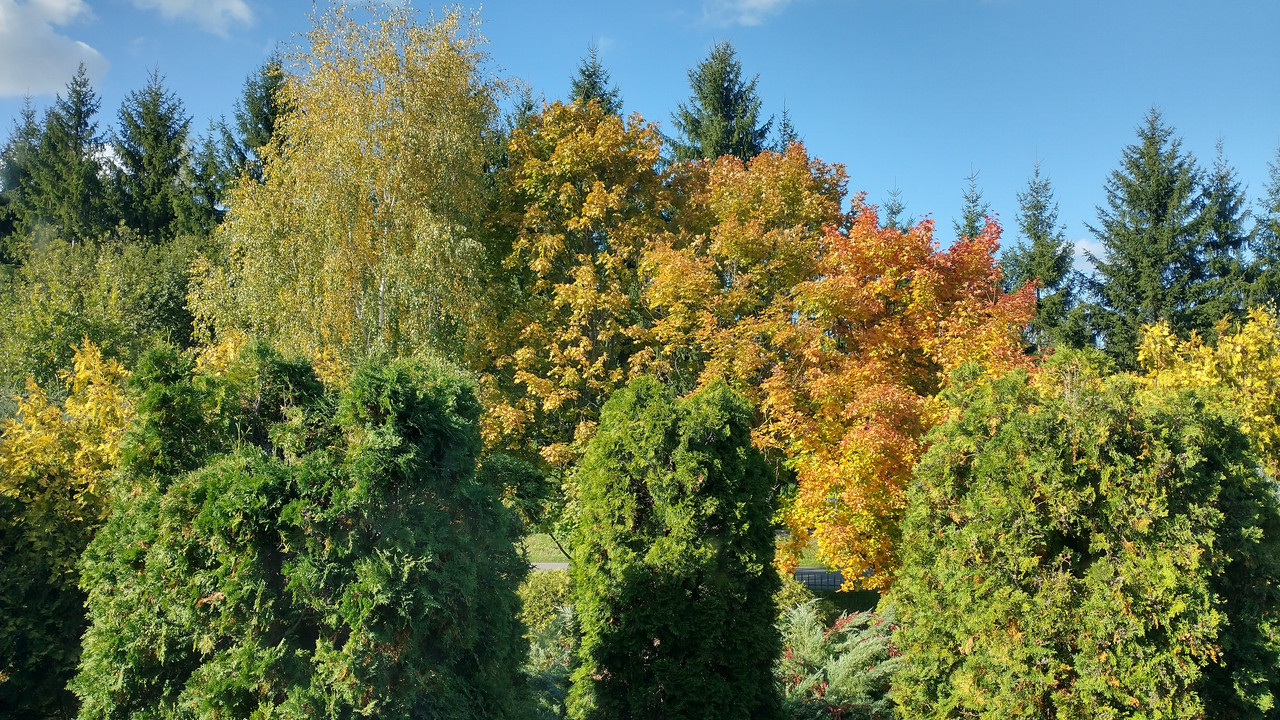 IMG_20251008_135834733_HDR