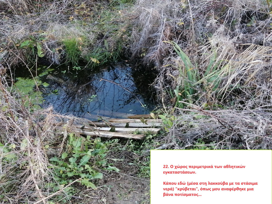 418977201-3544405522555224-8390432971691985659-n