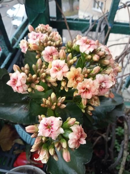 изображение viber 2025 11 28 10 24 52 433