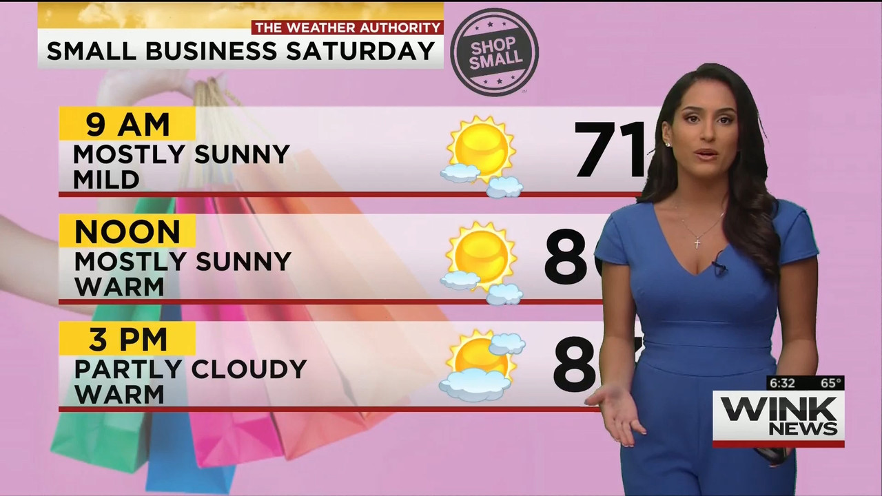 11.28 - 11.00.00 - WINK News This Morning..ts_snapshot_32.45.507