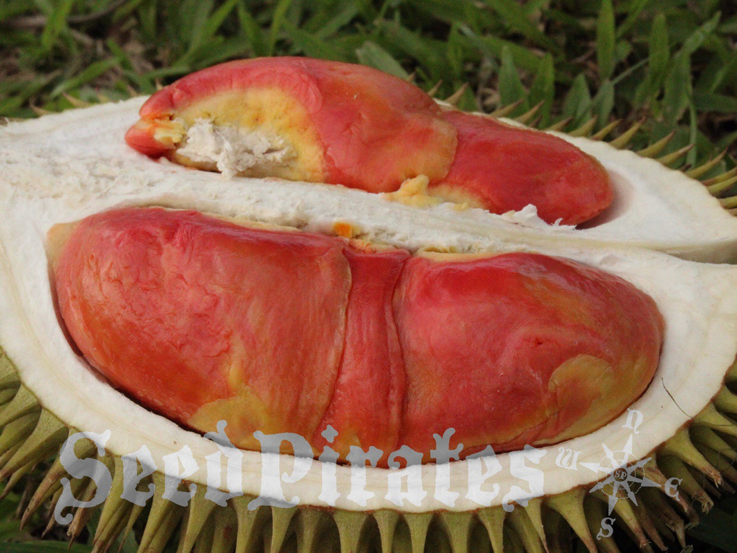 D539DBA5-0D6C-44C9-92CF-2403AAD5FAFF