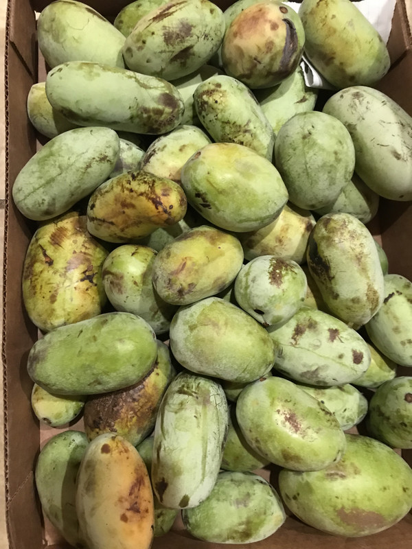 72584314-94DB-4E51-9C8B-8203F278B12E