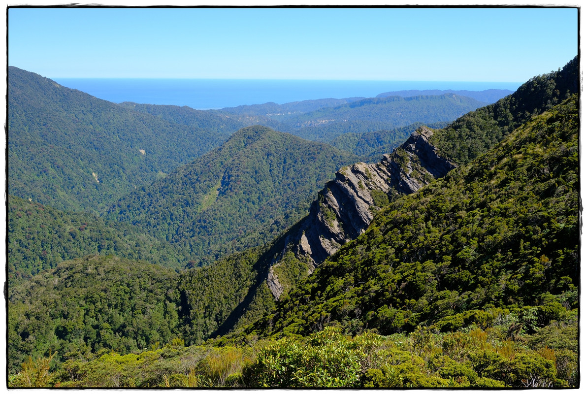 Paparoa NP: Paparoa Track (diciembre 2024) - Escapadas y rutas por la Nueva Zelanda menos conocida (26)
