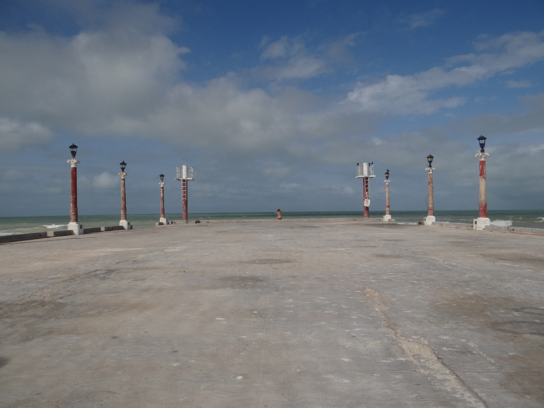 DSC00470
