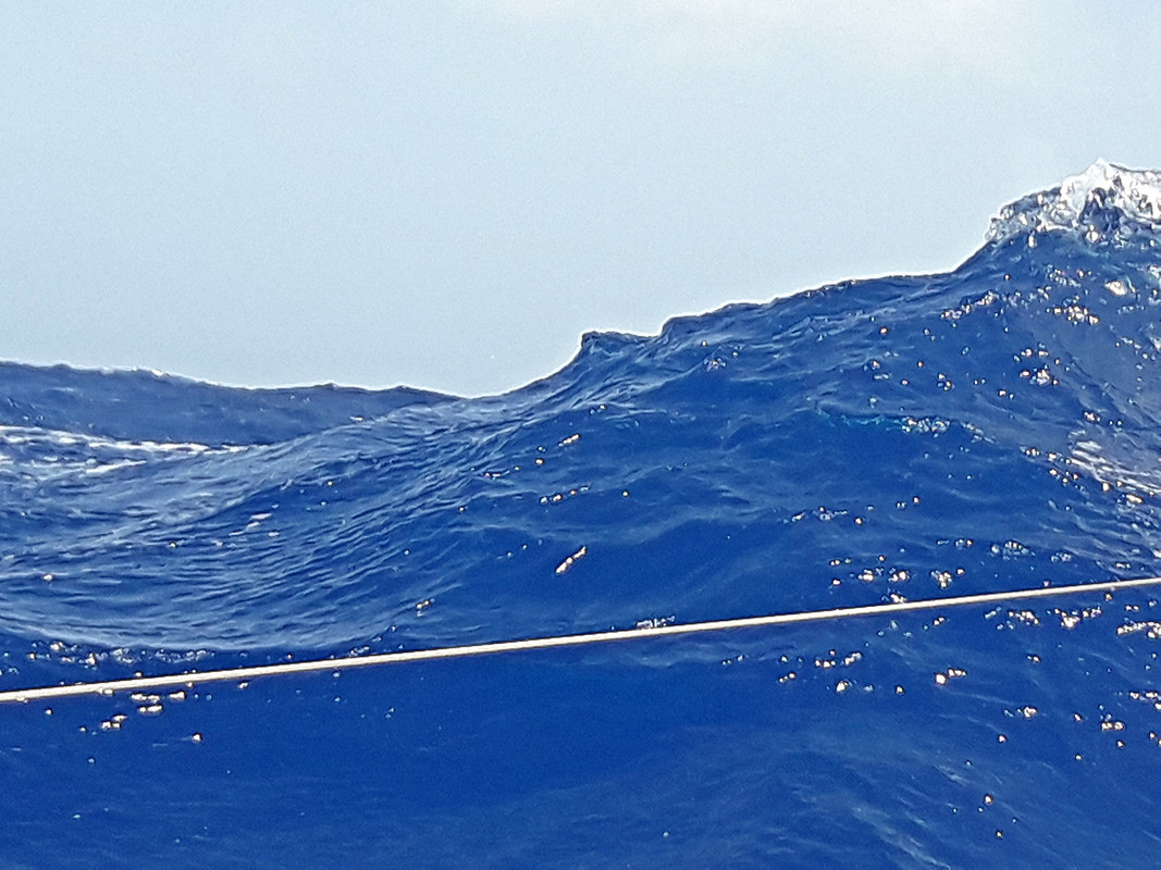 [Imagen: 20200219_160347.jpg]