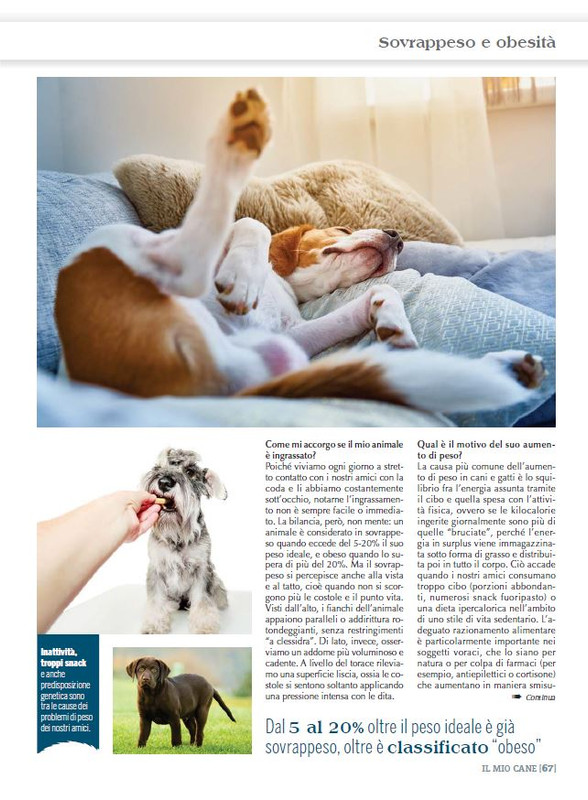 Il M C Nov 2022 (10)