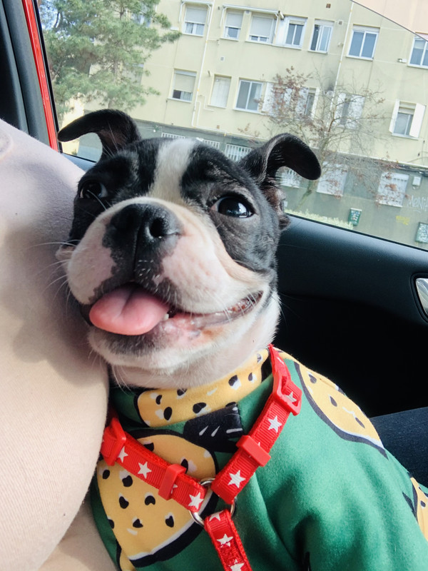 D51B1E8F-C0F6-474B-B641-537AAD77710E