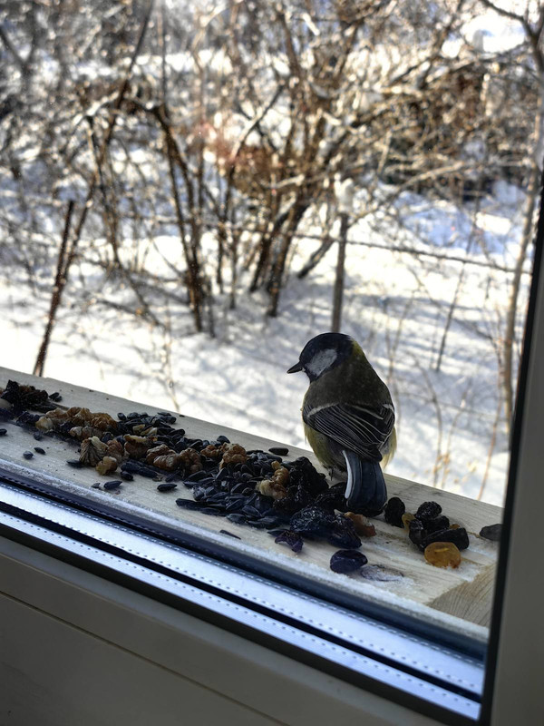 изображение_viber_2024-04-07_09-12-03-051