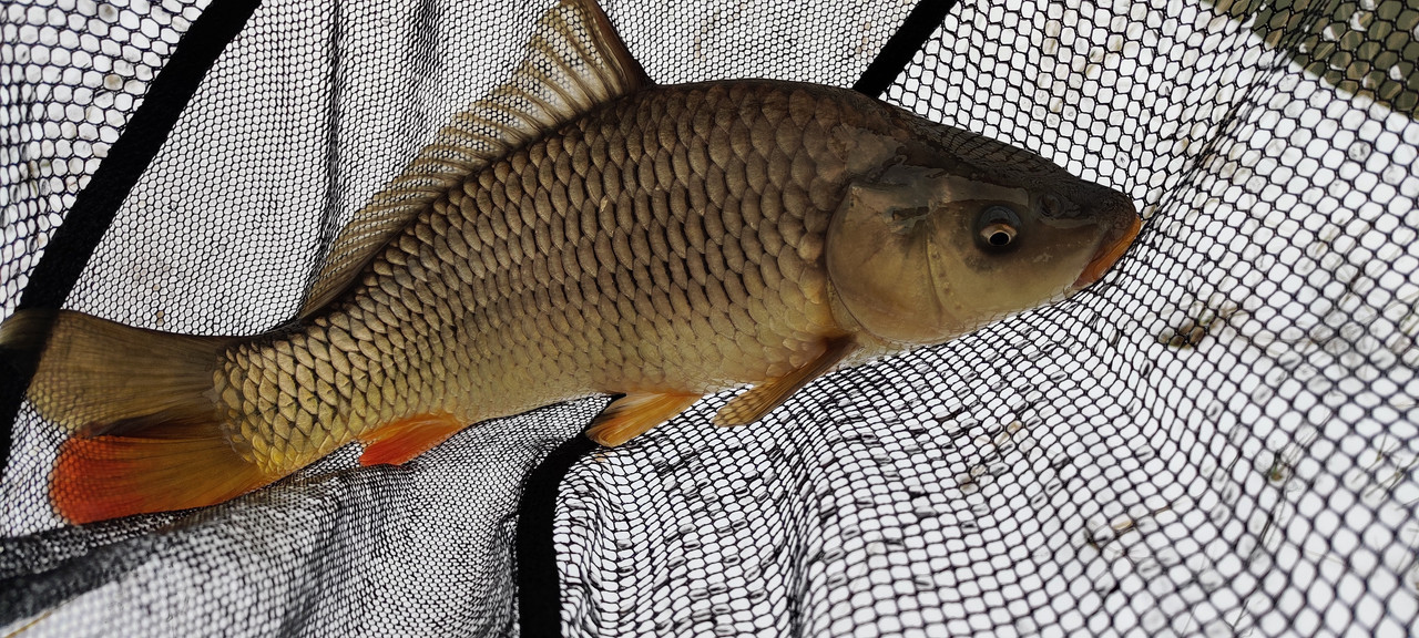 IMG_20230205_145525 (2)