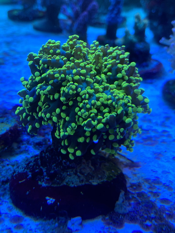 C5CD8B5F-7F00-4317-8E82-59849AE75BBC