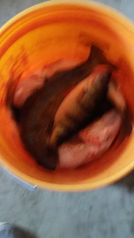 20180211_155911