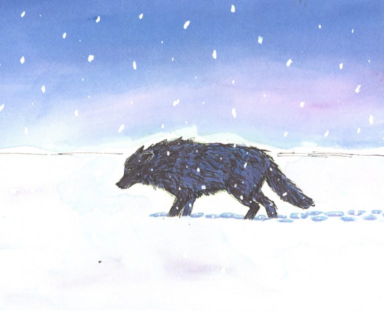 wolfinthesnow2-768x632