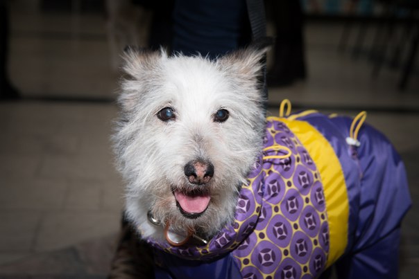 05AA8CA1-4AF9-4333-875F-6CB01AC3E8DF