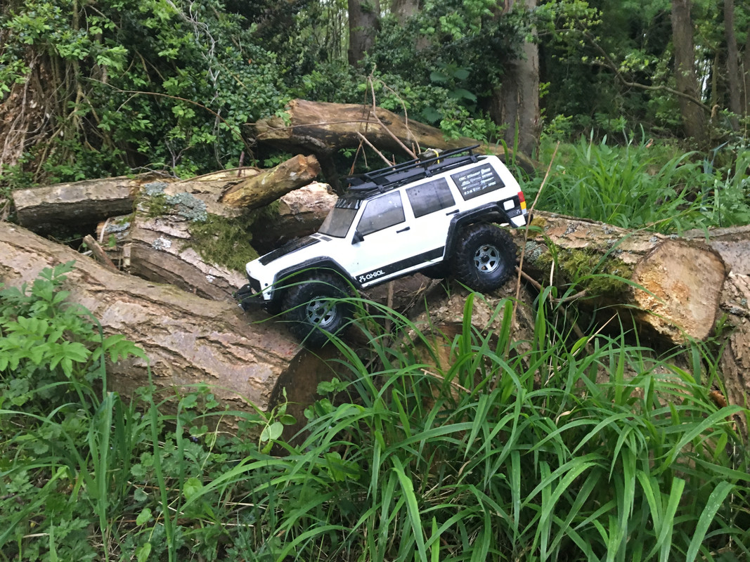 C1205919-3522-4843-A046-E21EECD76D1C