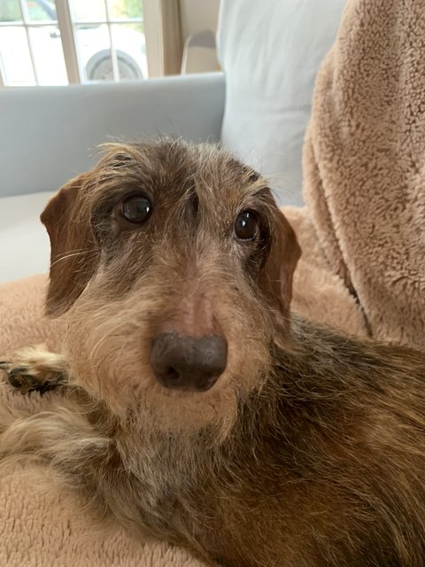 [Image: DDEB5-AE1-FAED-4-D97-8682-DF06-B3188-C9-D.jpg]