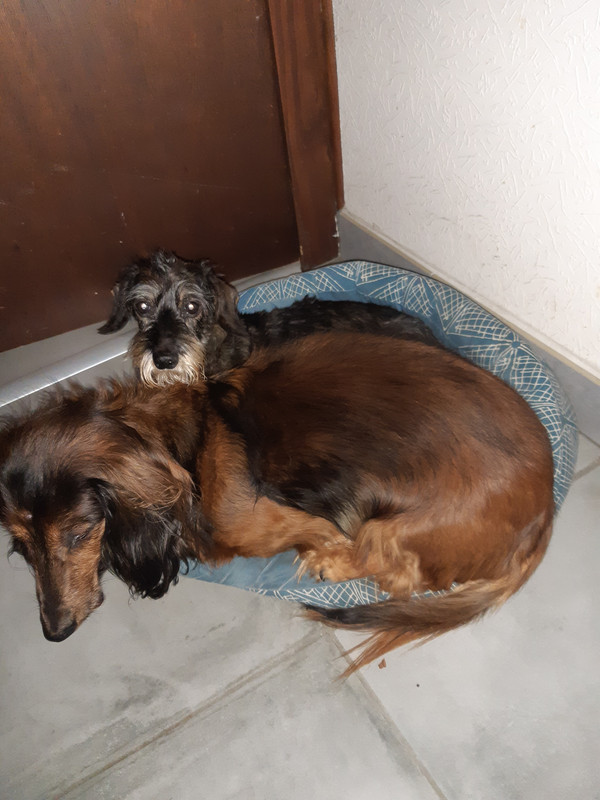 [Image: 20201021-111418.jpg]