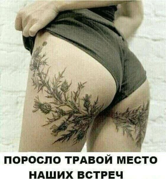 [Изображение: photo-2025-09-20-10-42-59.jpg]