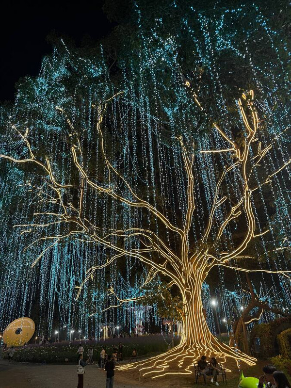 Блестяшки и вкусняшки: Новый Год в Чиангмае, Хуахин, Бангкок