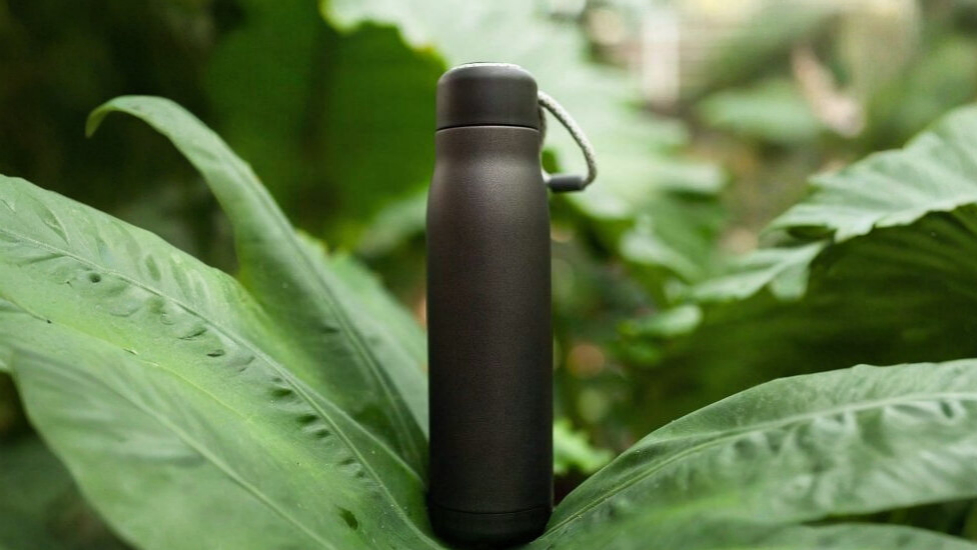 0007497-52012-bodegon-1-550.jpg