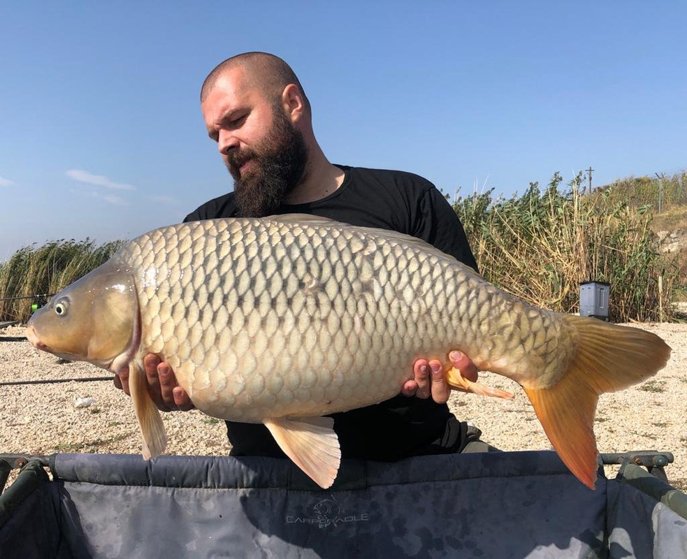 WhatsApp Image 2020-09-26 at 14.00.26 (2)