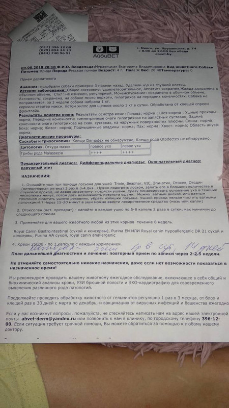 фрида милютина